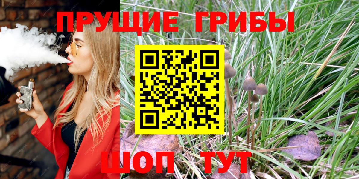 Псилоцибиновые грибы Psilocybine cubensis  Вход с VPN  Киреевск 